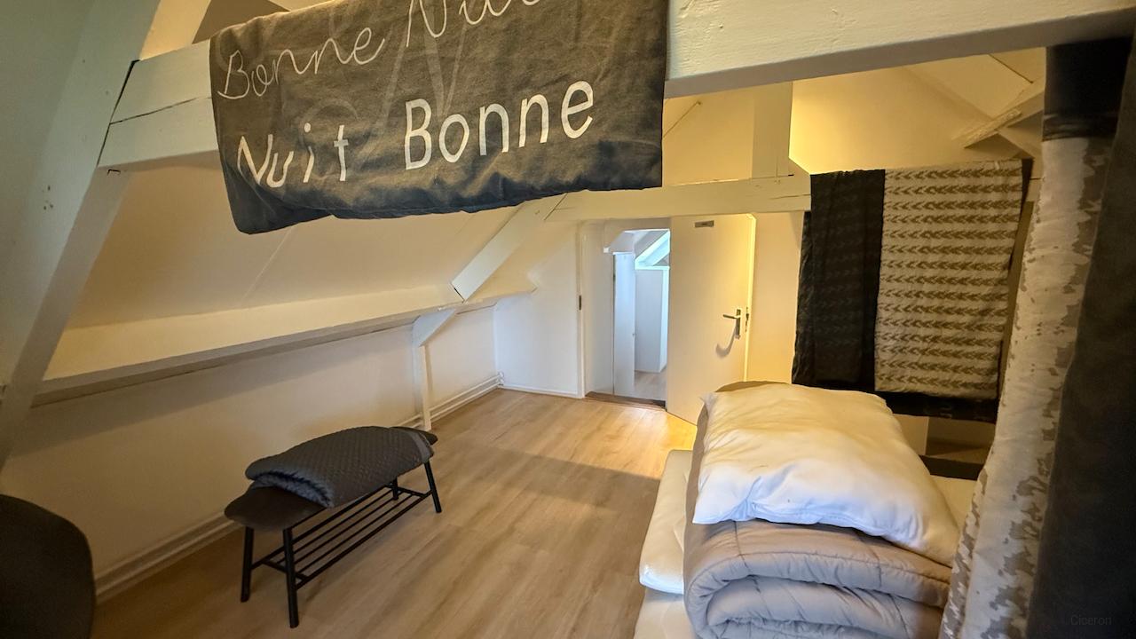 3-slaapkamer appartement bij Clingendael - Afbeelding 11