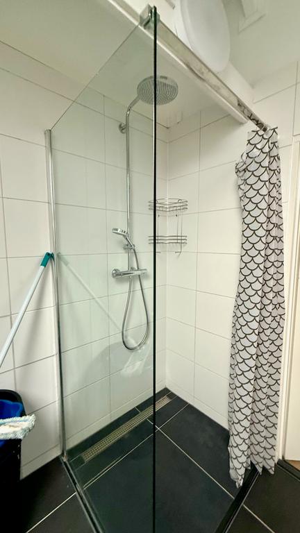 3-slaapkamer appartement bij Clingendael - Afbeelding 17