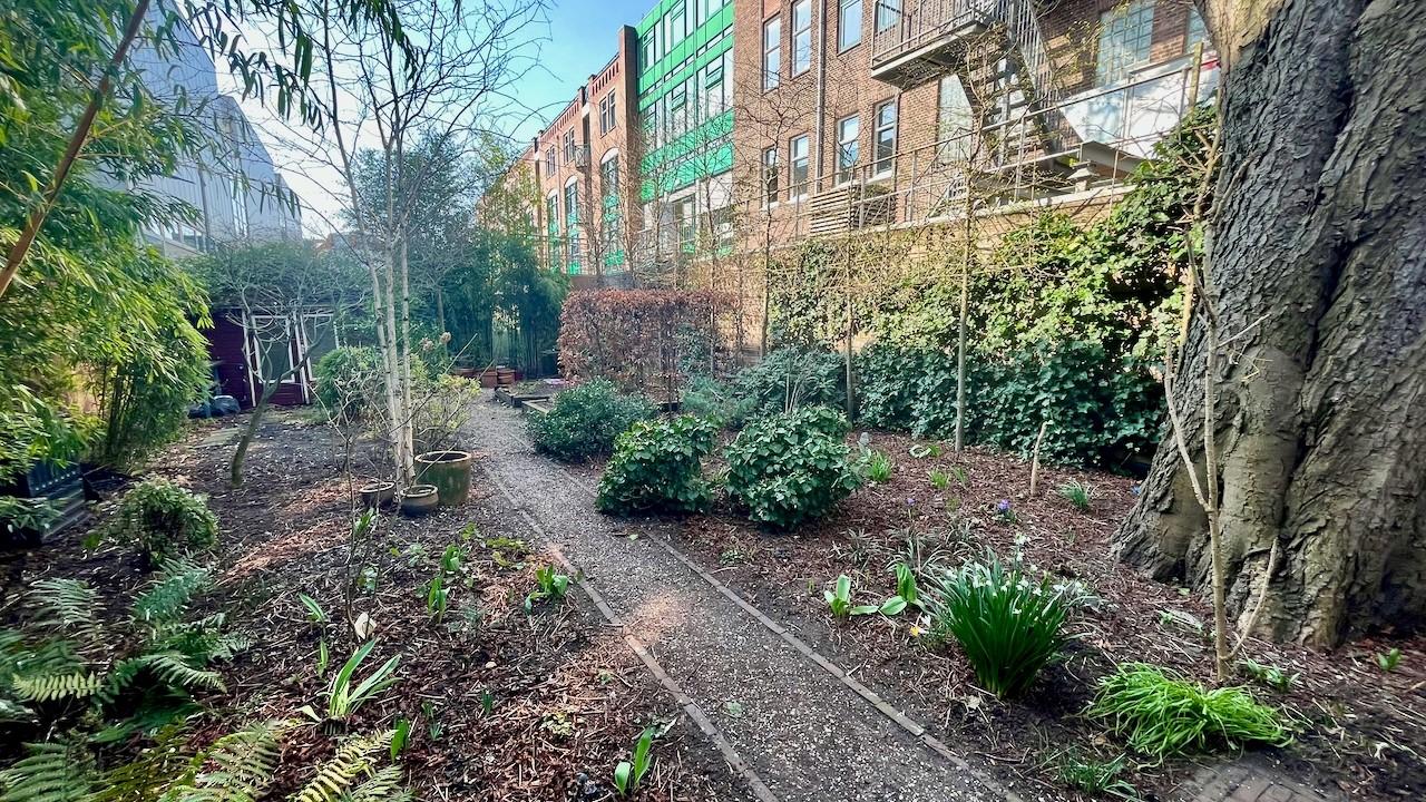 Gemeubileerd wonen met tuin in hartje Den Haag - Afbeelding 15