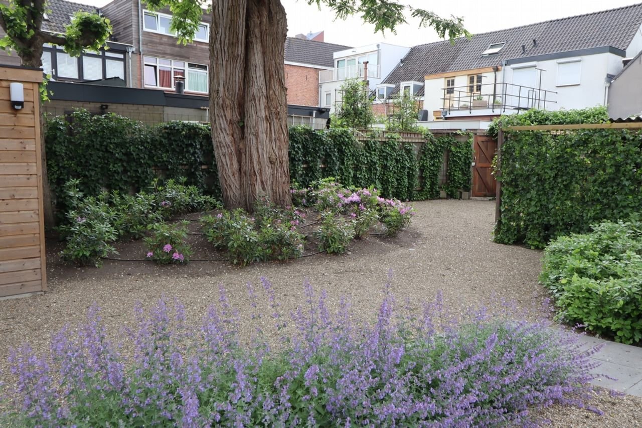 Monumental living with an A+ energy label in the heart of Breda - Image 63