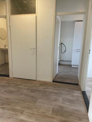 Licht 4-kamerappartement met balkon op zuid - Afbeelding 5