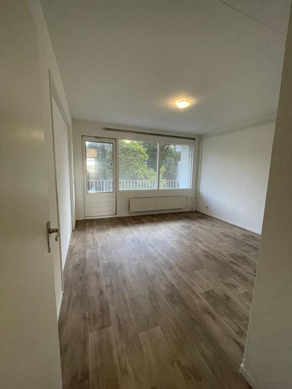 Licht 4-kamerappartement met balkon op zuid - Afbeelding 10