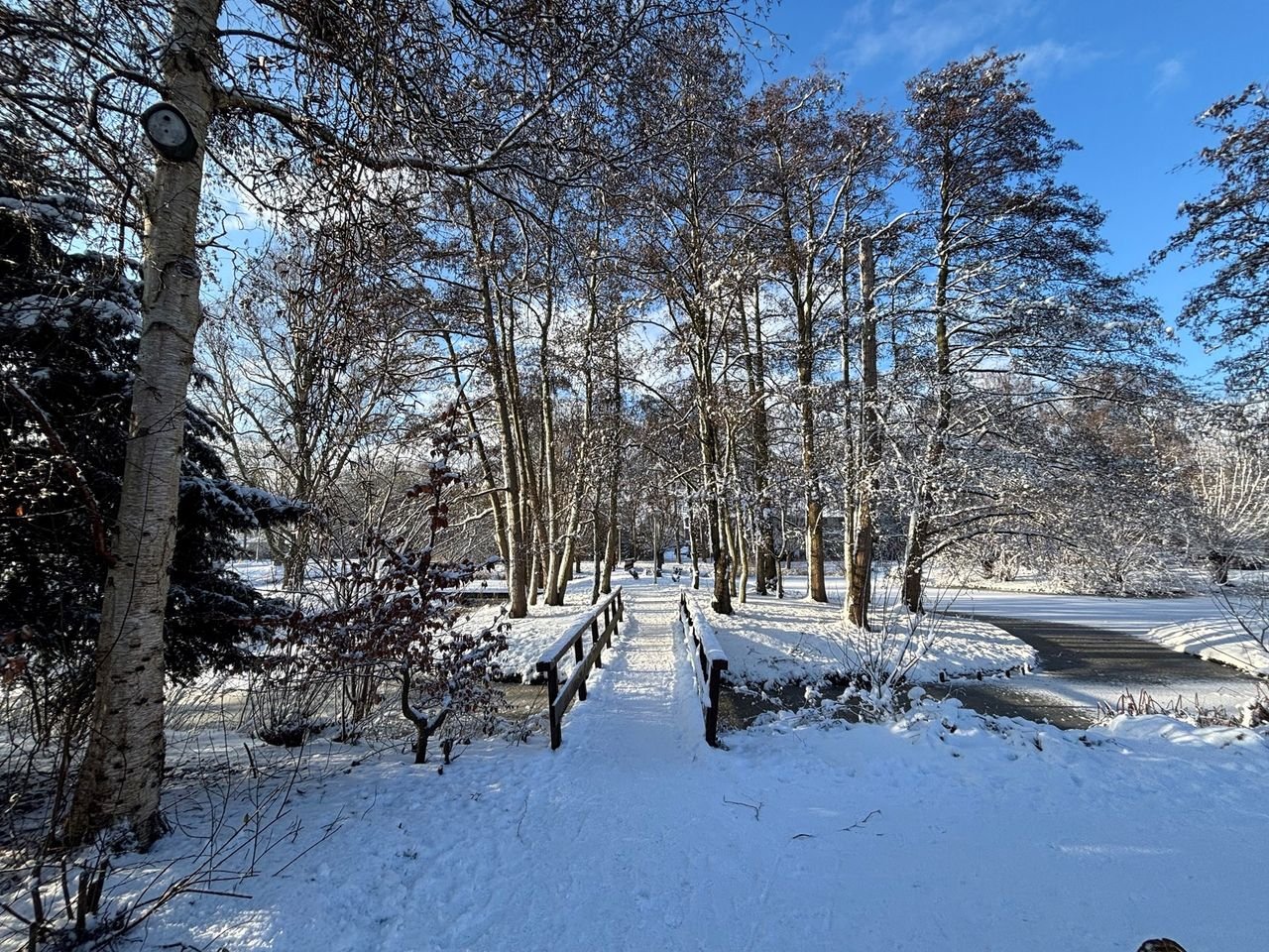 Spacious family home in Waardhuizen with sunny garden - Image 2