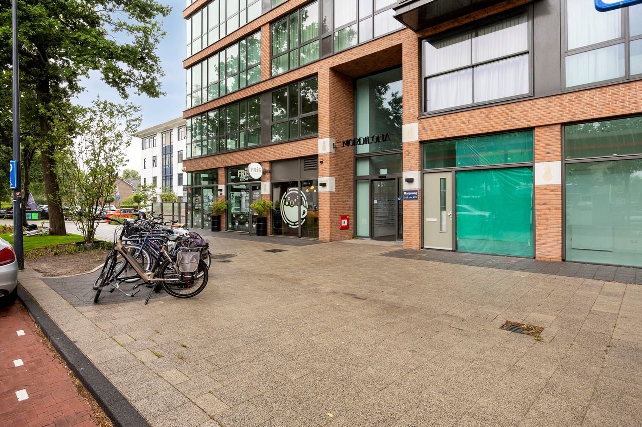 Gas-free living in De Ananas: 115m² with loggia - Image 20