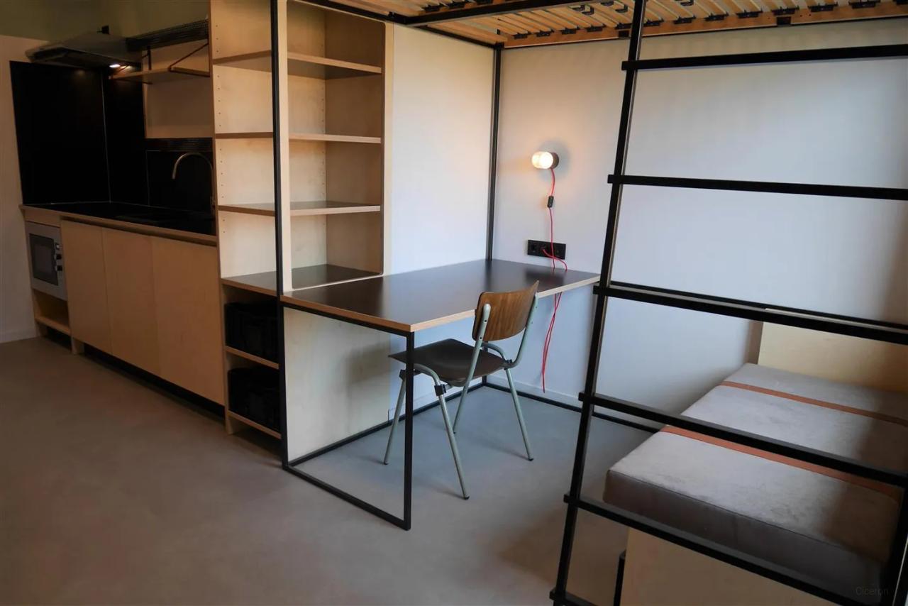 Furnished studio with garden view in Scharn - Image 1