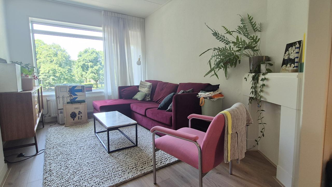 Renoveerd 2-kamerappartement aan het park - Afbeelding 2