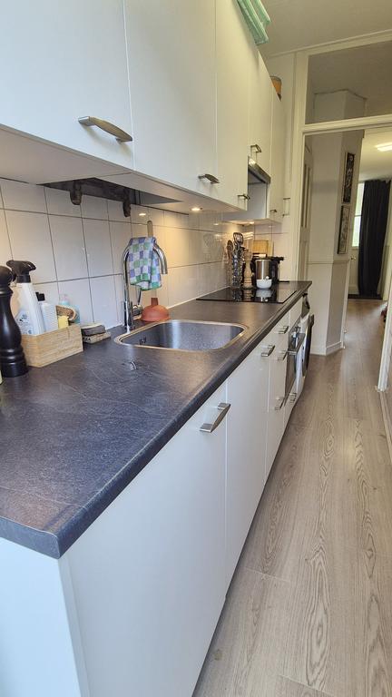 Renoveerd 2-kamerappartement aan het park - Afbeelding 6