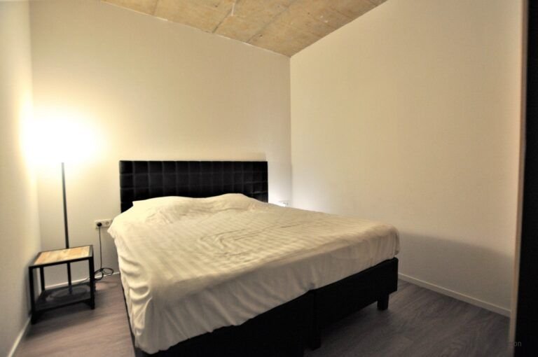 Furnished apartment with gym and roof terrace - Image 5