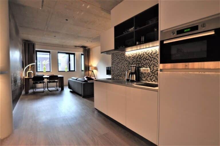 Gemeubileerd 3-kamerappartement met dakterras - Afbeelding 4