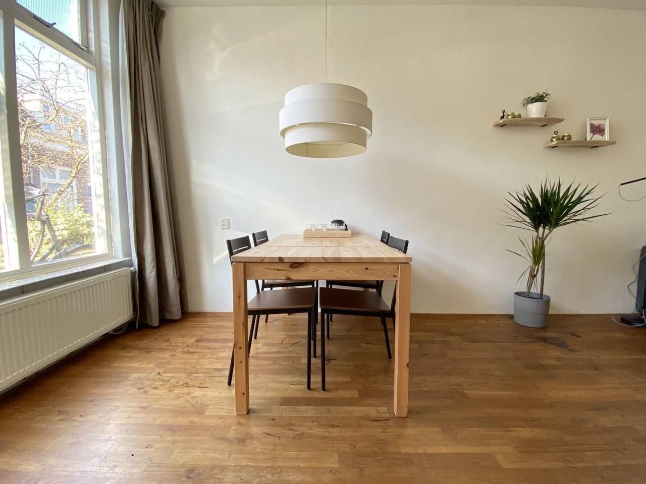 Furnished home near Wilhelminapark - Image 4