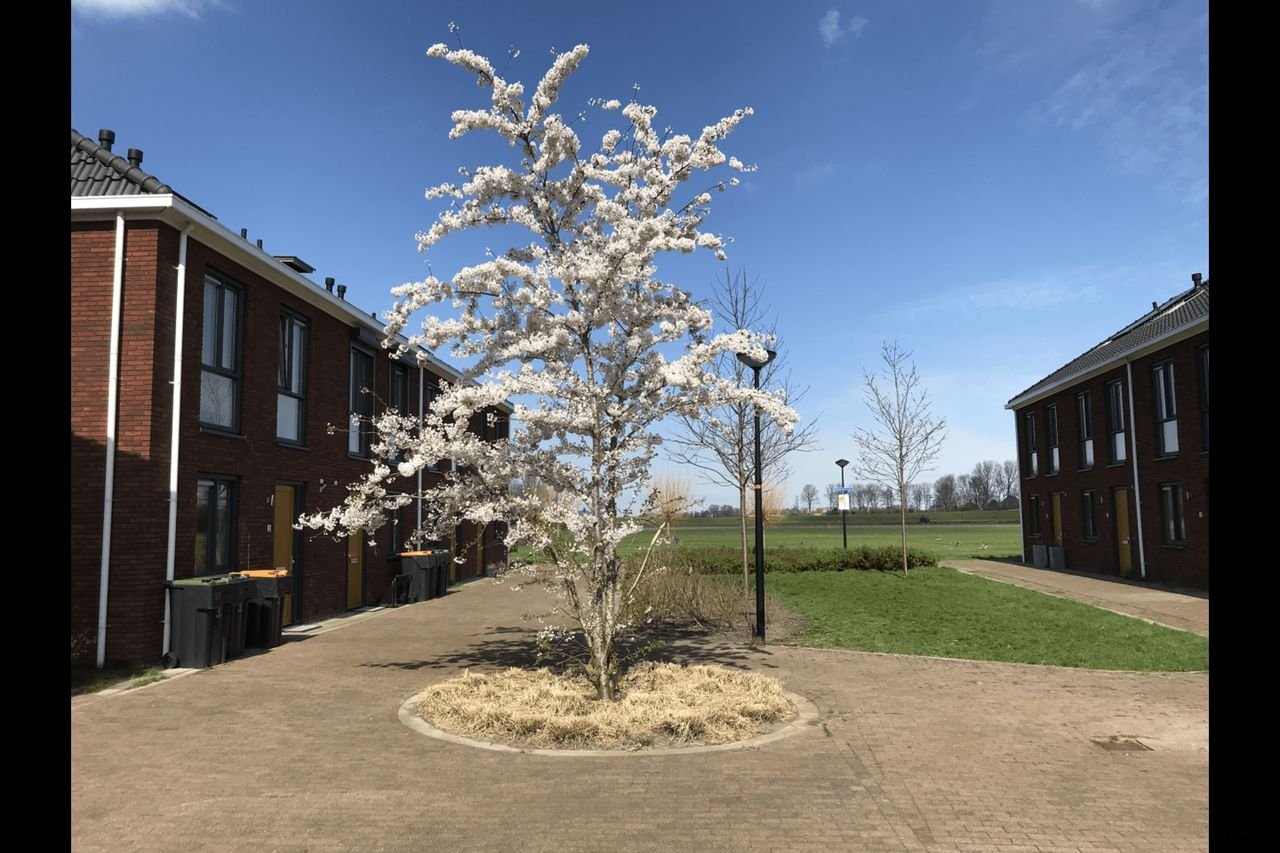 Spacious home with heat pump in De Draai - Image 19