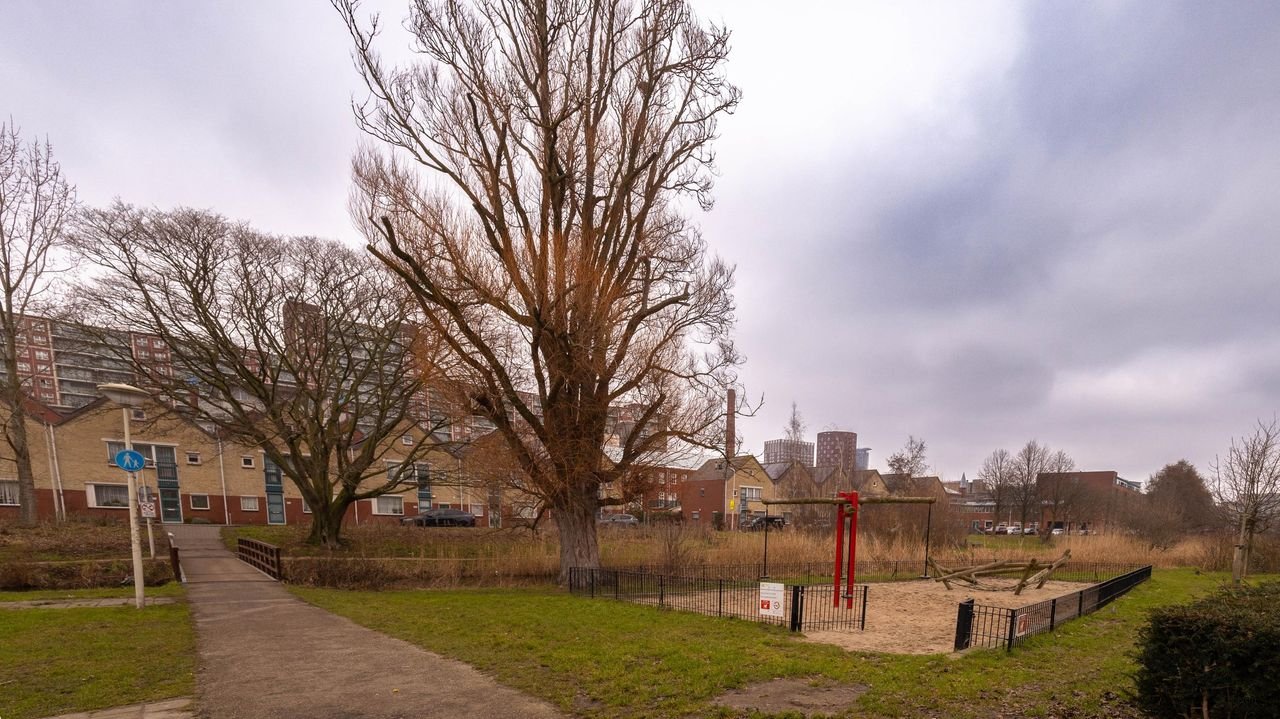 5 slaapkamers nabij Haagse Hogeschool - Afbeelding 21