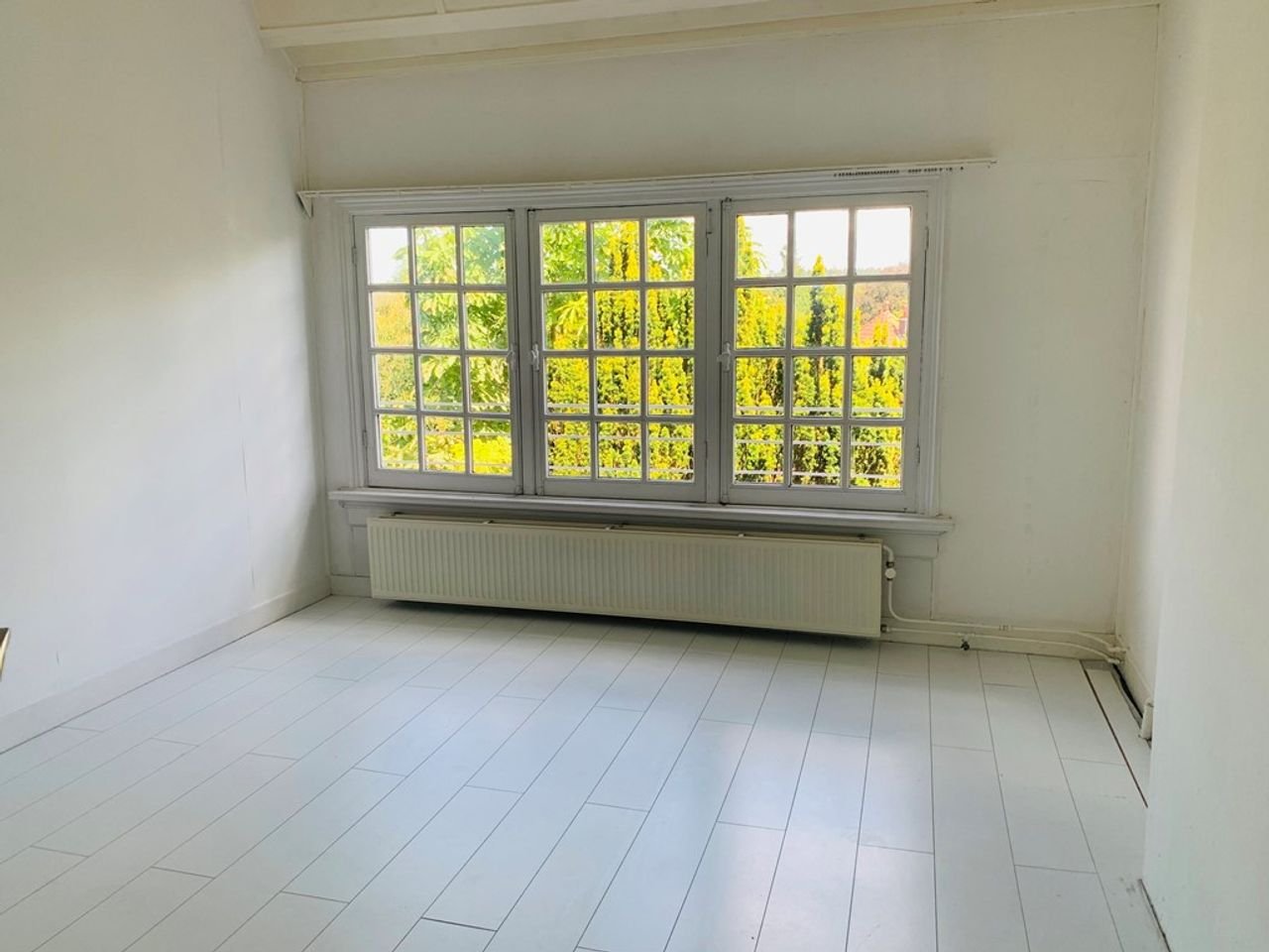 Spacious living (160m²) in the Burgemeesterswijk - Image 4