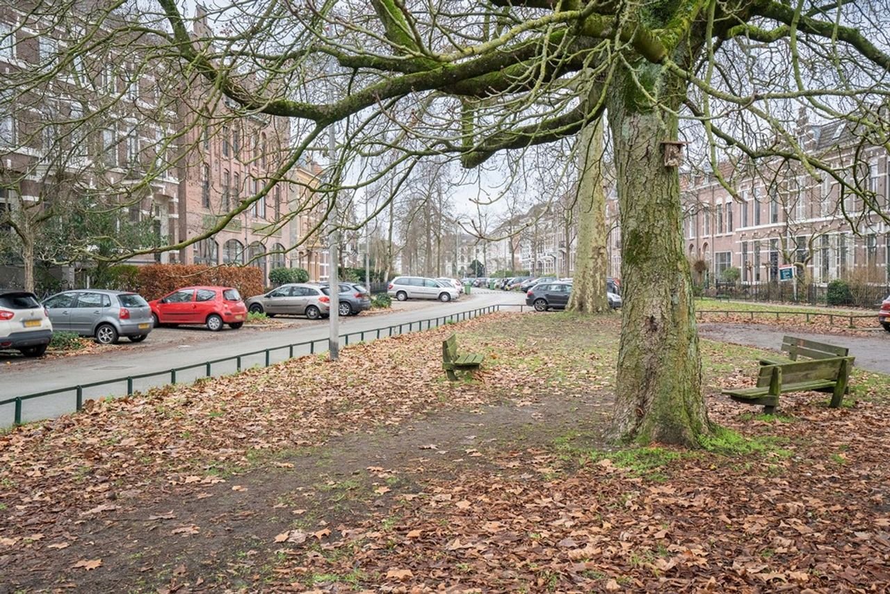 Furnished living on Boulevard Heuvelink - Image 12