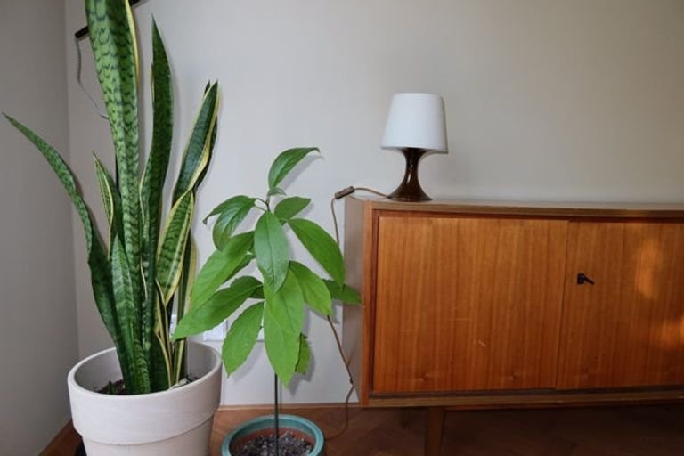 Nieuw huis met tuin in de Agniesebuurt - Afbeelding 18