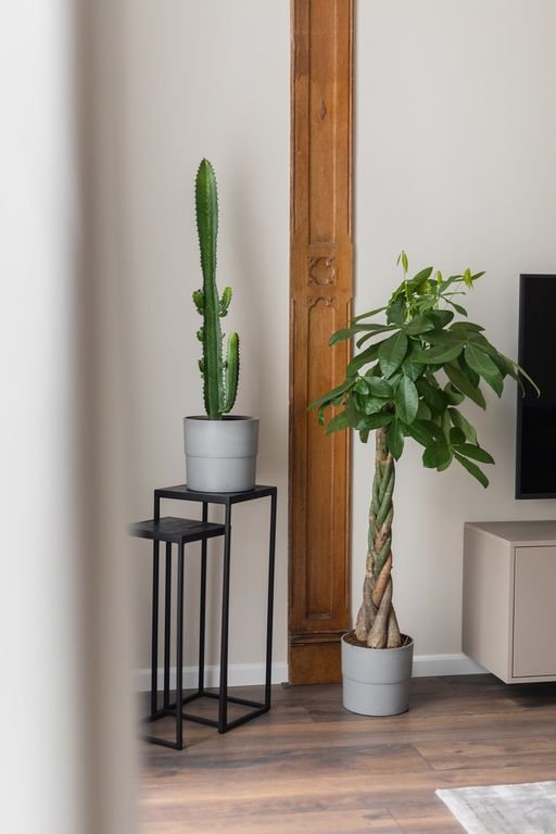 Dubbele bovenwoning met terras en energielabel A - Afbeelding 6