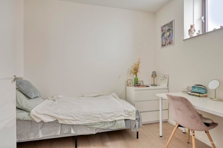 New construction in Breda's Cosunpark - Image 17