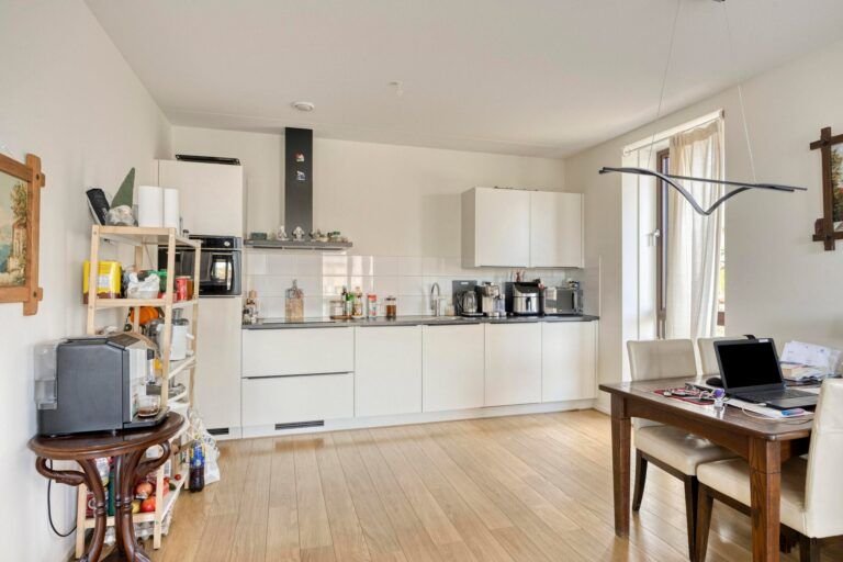 New construction in Breda's Cosunpark - Image 6