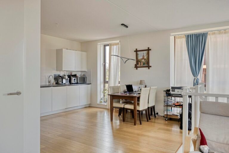 New construction in Breda's Cosunpark - Image 5