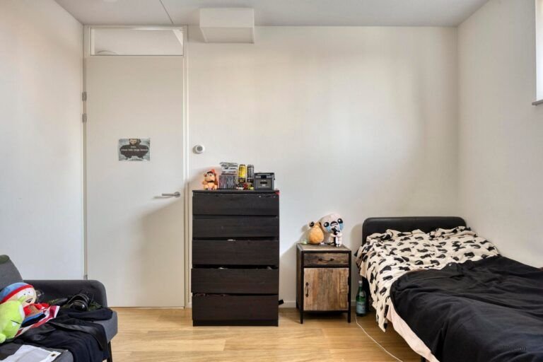 New construction in Breda's Cosunpark - Image 13