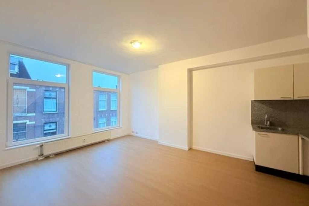 Licht appartement voor student in Duinoord - Afbeelding 1