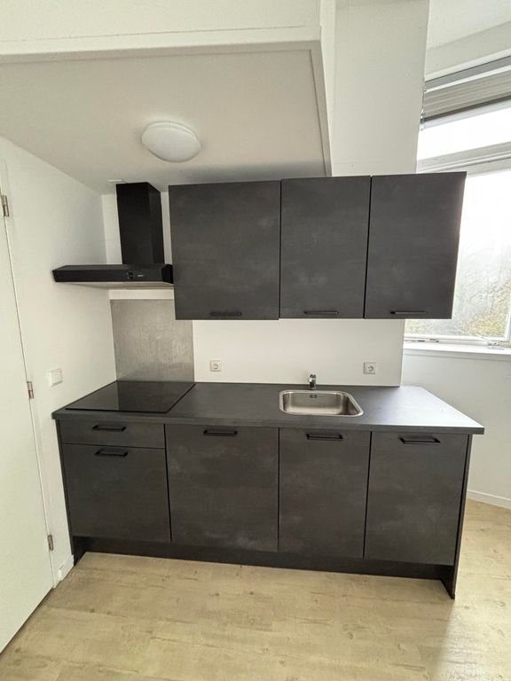 Studio met uitzicht op het Noorderplantsoen - Afbeelding 5