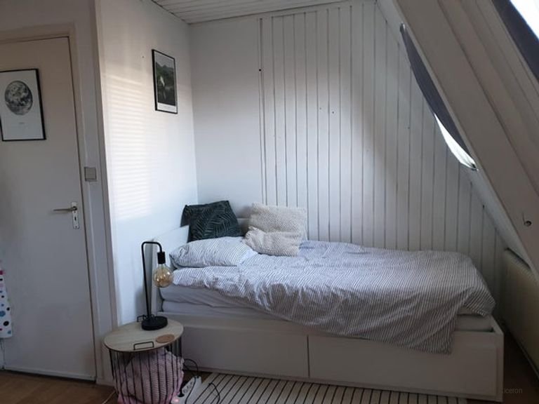 Nice room near Leeuwarden University of Applied Sciences - Image 5