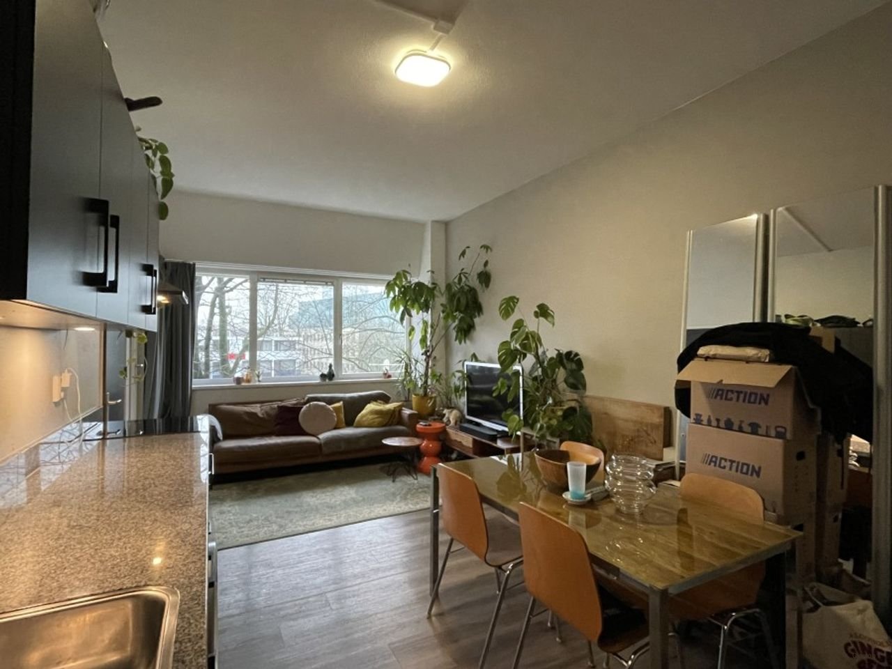 Apartment with gym on Hogeweg - Image 2