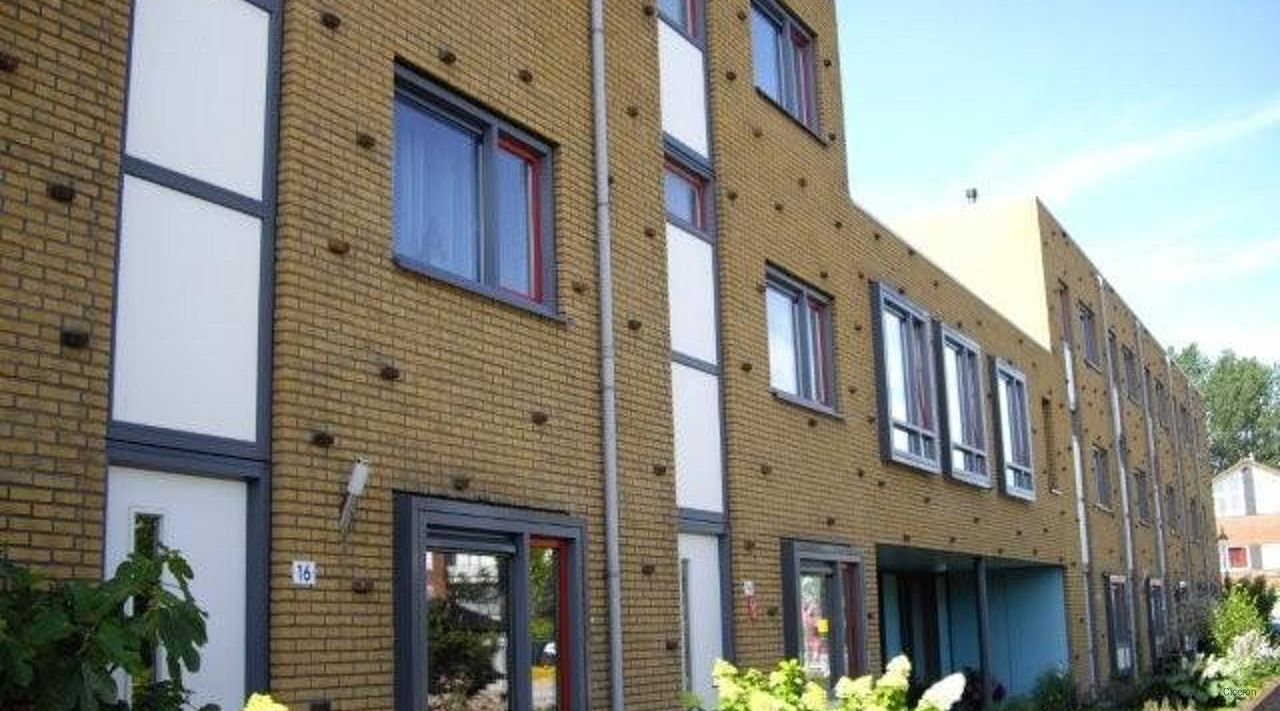 Top-floor apartment with views over Schothorstpark - Image 3