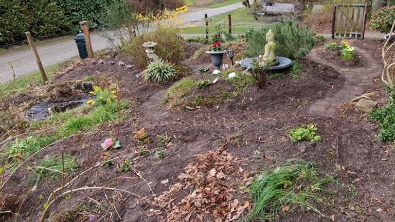 Vrijstaande woning nabij Ruinen - Afbeelding 23