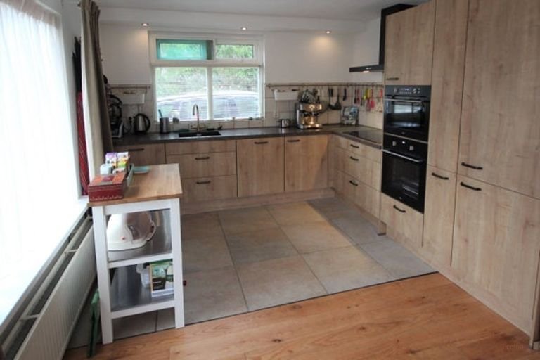 Vrijstaande woning nabij Ruinen - Afbeelding 4