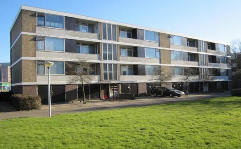 3-kamer appartement in de Wipstrik - Afbeelding 1