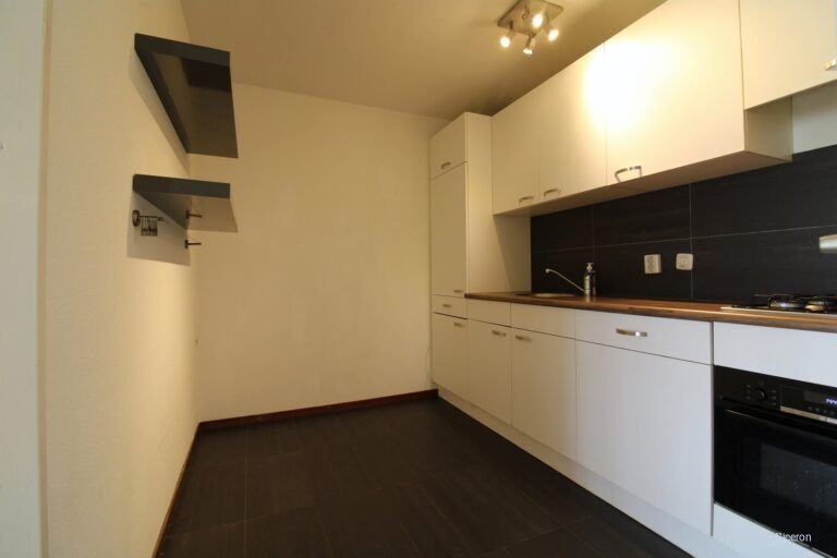 Ruim 3-kamer appartement met garage in centrum Eindhoven - Afbeelding 9