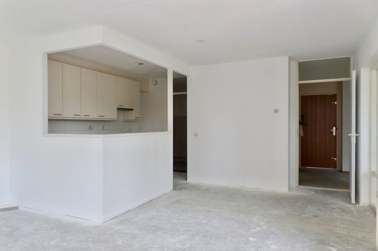 Single-level living in the Parkflat - Image 8