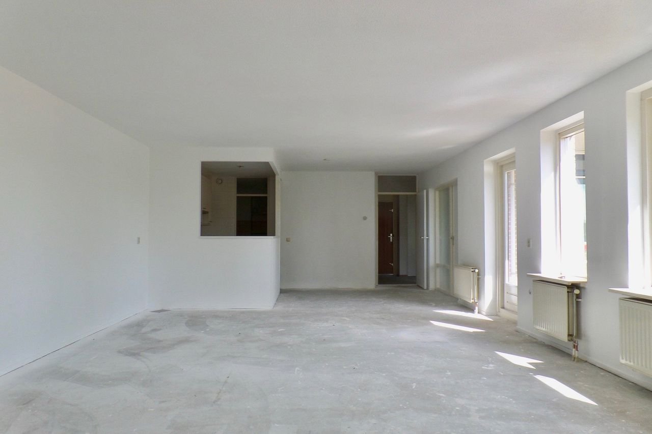 Single-level living in the Parkflat - Image 7