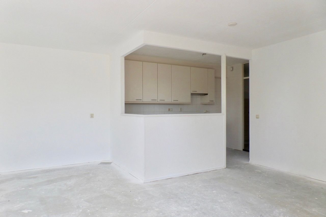 Single-level living in the Parkflat - Image 9