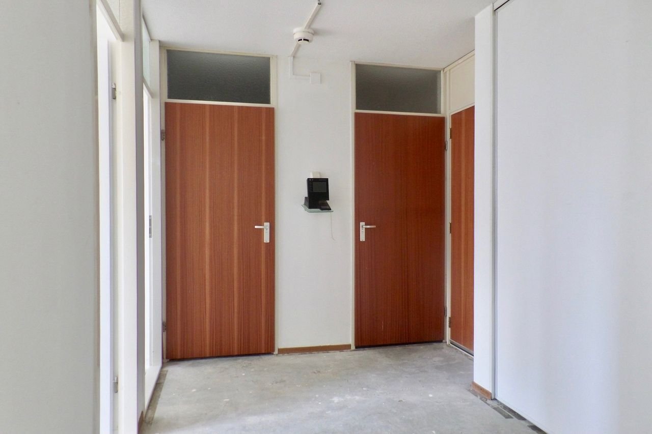 Single-level living in the Parkflat - Image 13