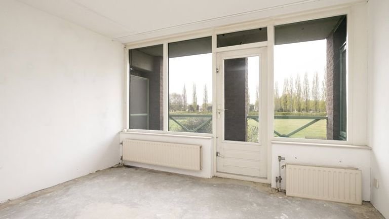 Spacious apartment bordering Schothorstpark - Image 5