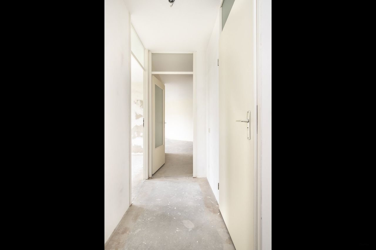 Spacious apartment bordering Schothorstpark - Image 14