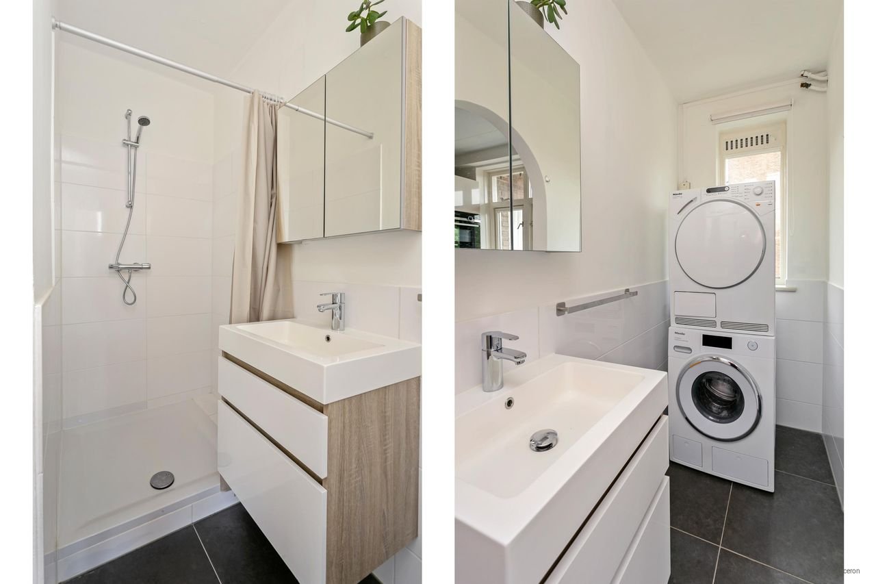 Corner apartment near the IJzeren Vrouw - Image 11