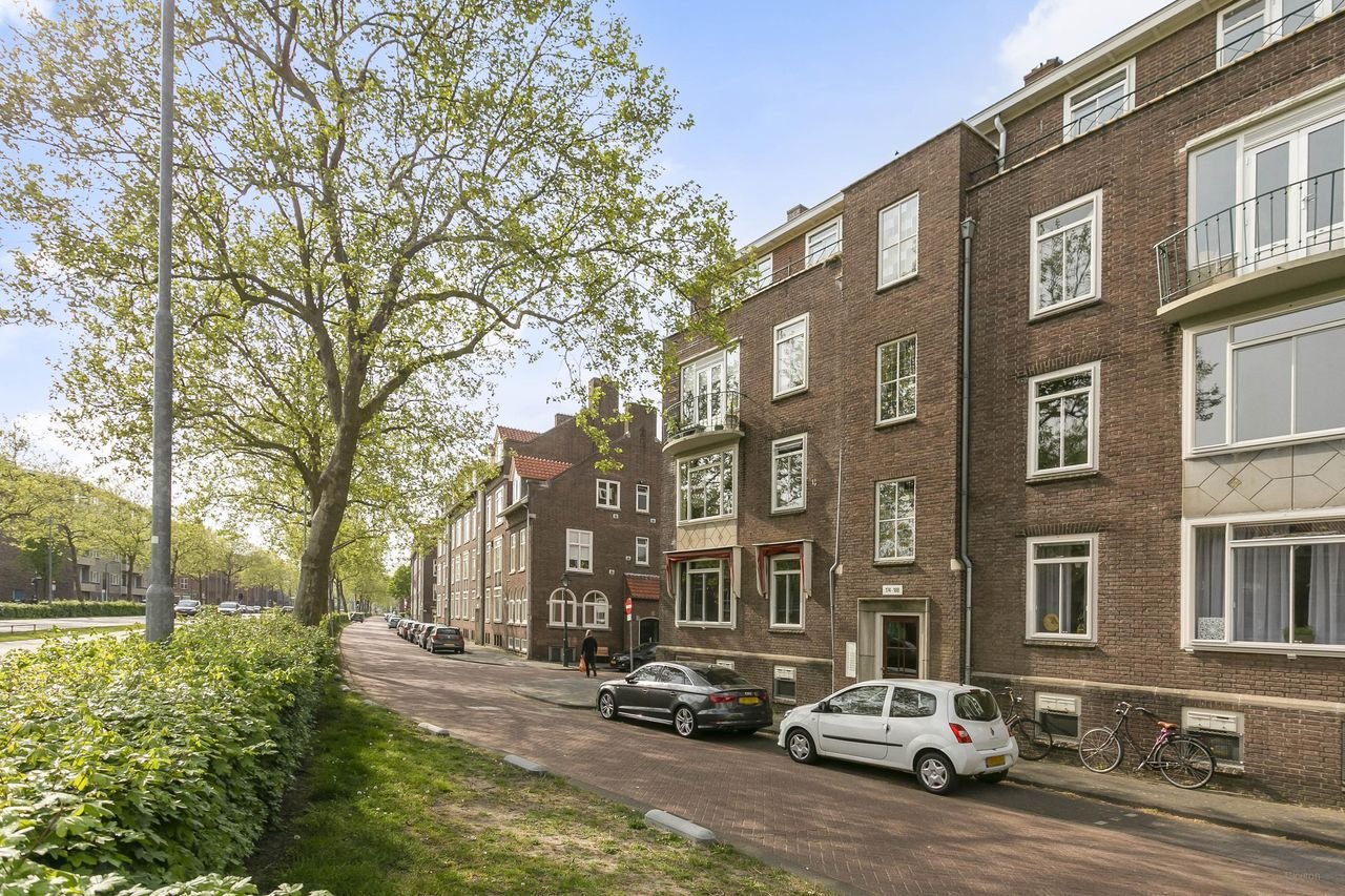Corner apartment near the IJzeren Vrouw - Image 2