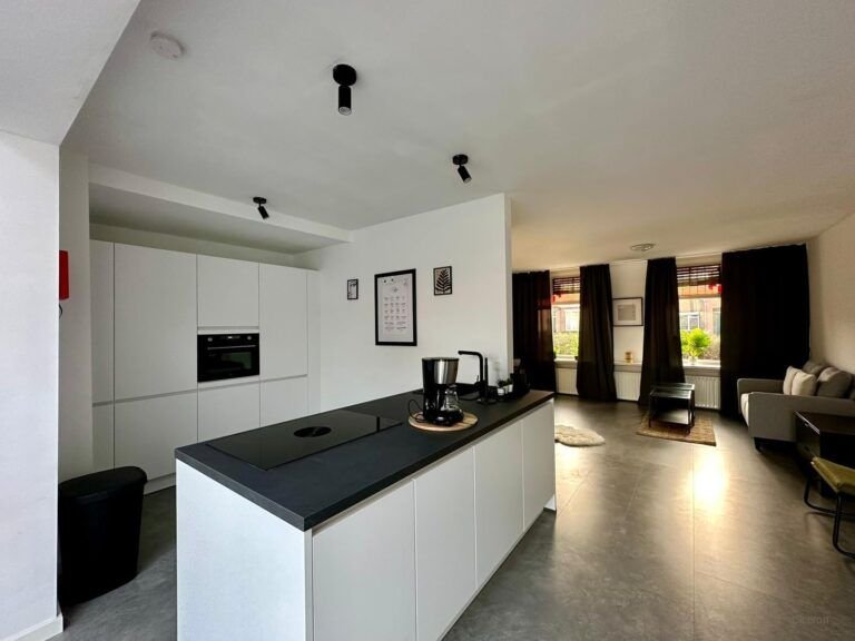 Furnished house with garage in Zaamslag - Image 4