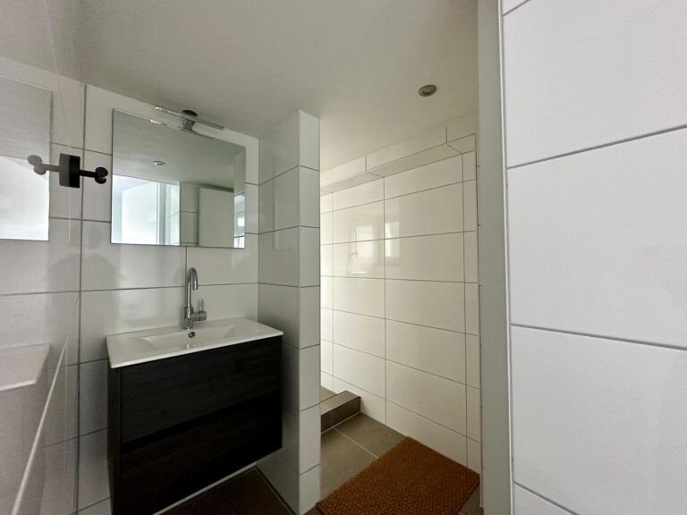 Furnished house with garage in Zaamslag - Image 7