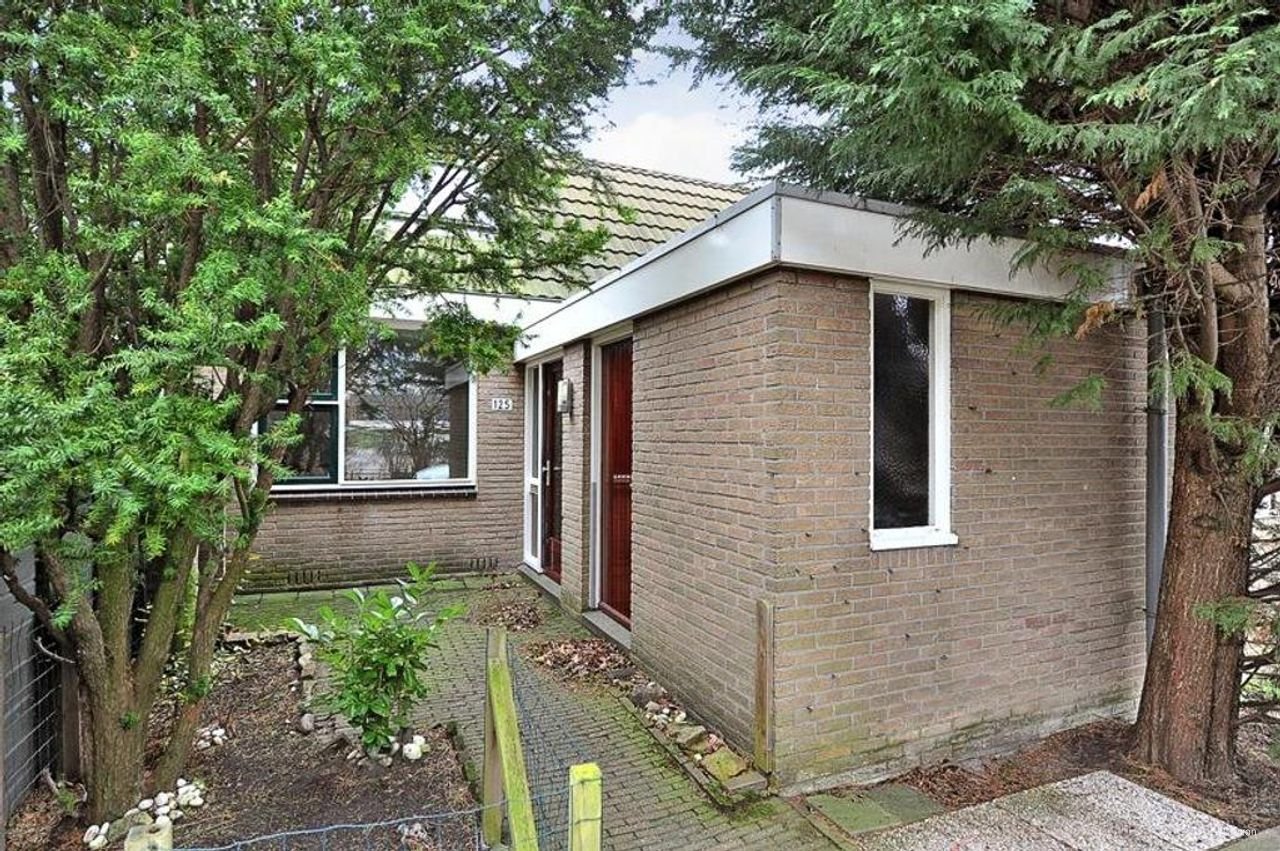 Fijn gezinshuis met zonnige tuin in Essesteijn - Afbeelding 1