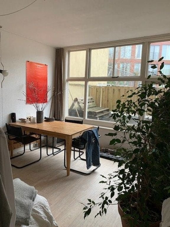 65m2 appartement op de Schiedamseweg - Afbeelding 1