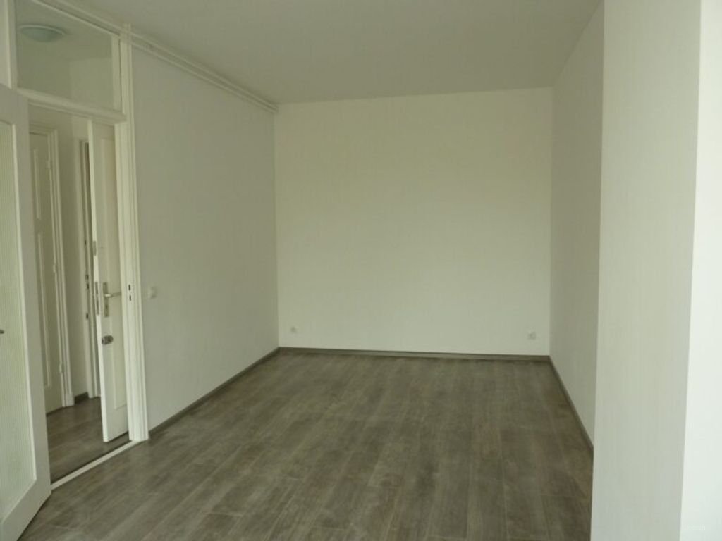 Gerenoveerd appartement aan de Schiedamseweg - Afbeelding 3