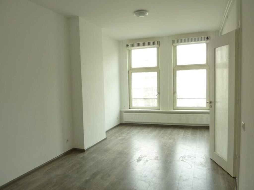 Gerenoveerd appartement aan de Schiedamseweg - Afbeelding 2