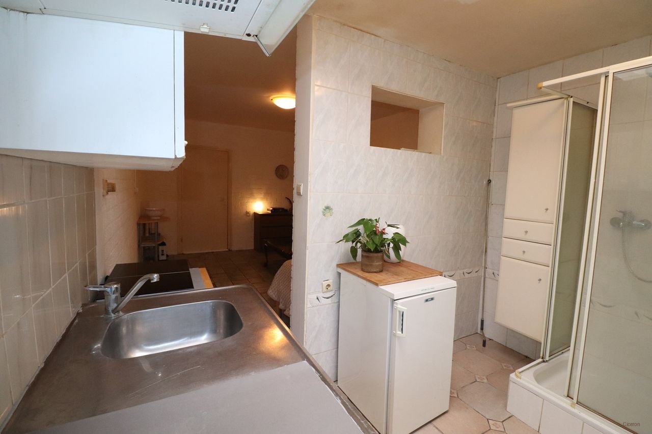 Gemeubileerde studio met tuin in De Heeg - Afbeelding 4