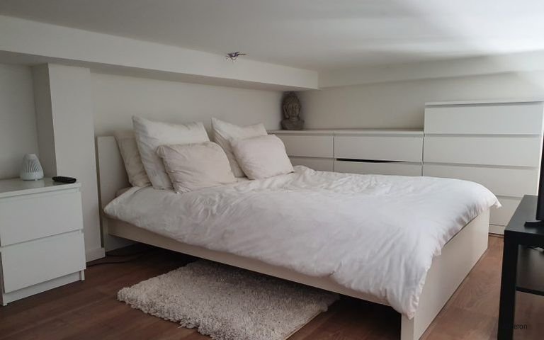 Monumental living with mezzanine in Deventer - Image 8