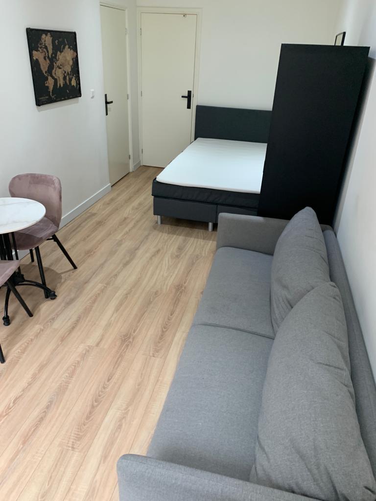 Two Furnished Studios with Garden - Image 3